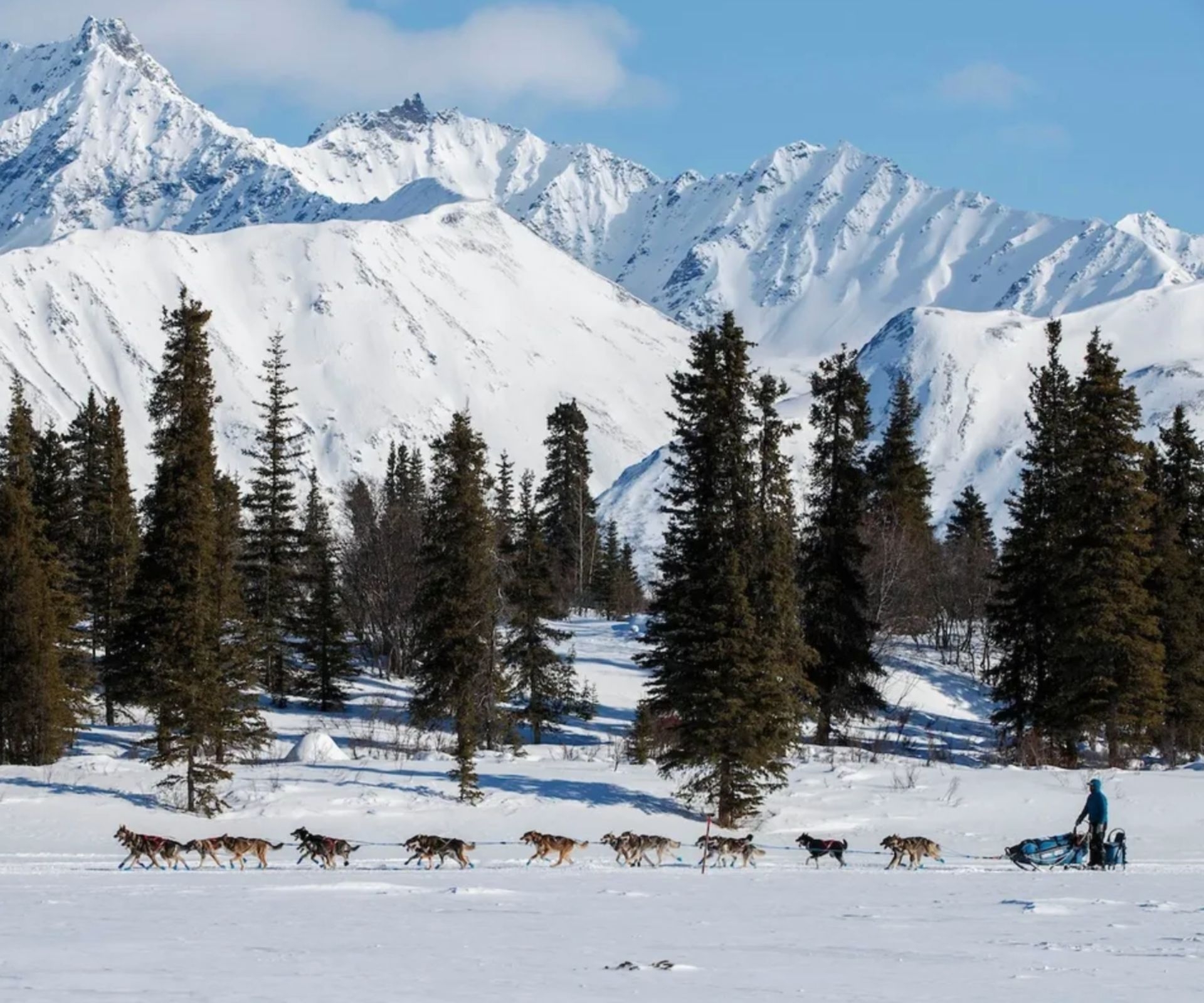 Blog 10 things to do in Alberta this Winter (That Aren't in the Rockies)