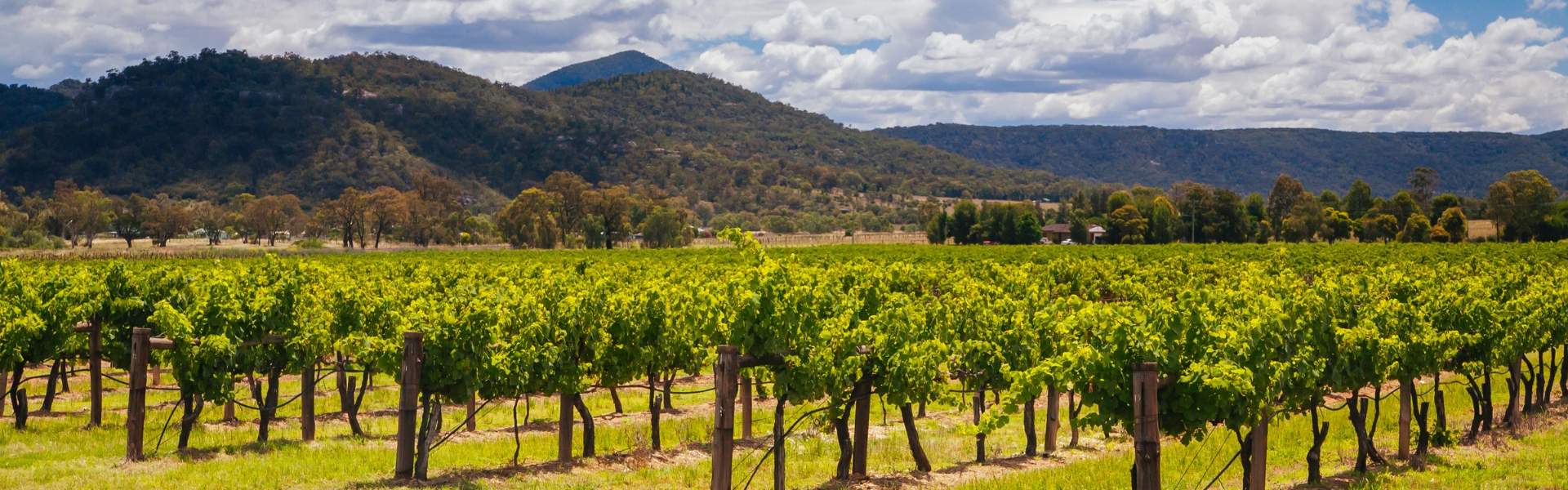 barossa valley wine and food tours