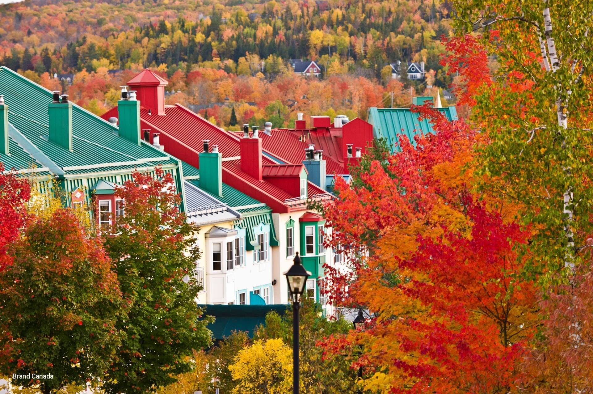 Quebec Tour (7Day Essential Quebec in The Fall Tour)