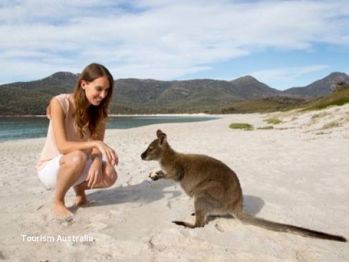 11 Day The Great Ocean Road, Kangaroo Island & Its Wildlife