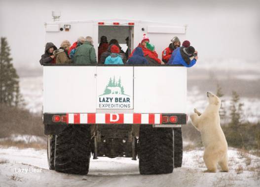 6 Day Ultimate Polar Bear Adventure