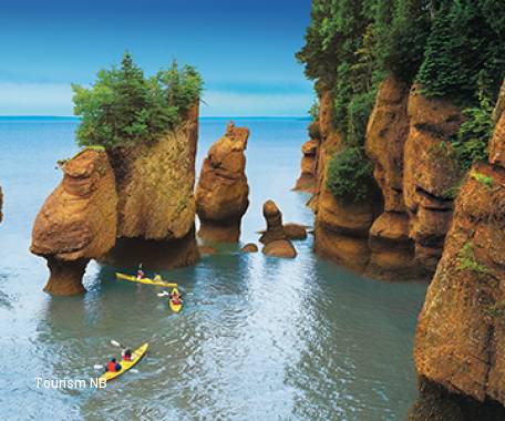 7 Day Wonders of the Bay of Fundy