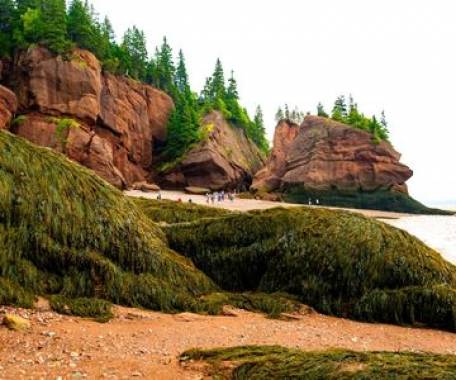 10 Day Bay of Fundy's Tides and Trails