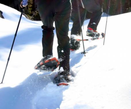 Winter Wonders of Canmore, Kananaskis and Banff 